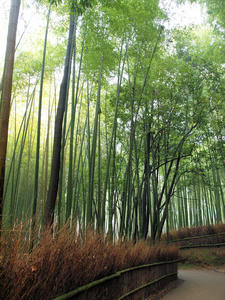 20100402_922shuusei.jpg
