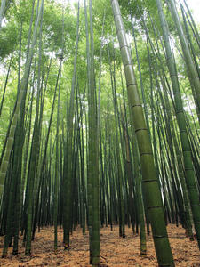 20100402_924shuusei.jpg