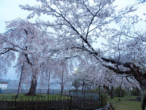 20100402_951shuusei.jpg