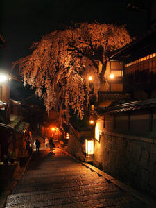 20100402_1023shuusei.jpg