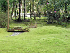 20100408_332shuusei.jpg