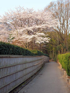 20100408_340shuusei.jpg