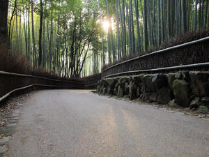 20100408_363shuusei.jpg