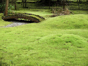20100408_334shuusei.jpg