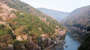 20100408_374shuusei.jpg