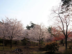 20100408_396shuusei.jpg