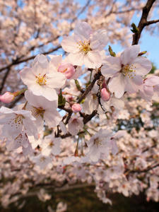 20100408_401shuusei.jpg