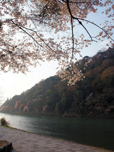 20100408_404shuusei.jpg