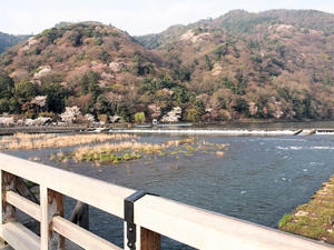 20100408_425shuusei.jpg