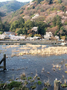 20100408_426shuusei.jpg