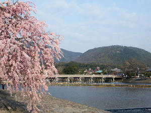 20100408_440shuusei.jpg