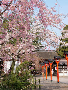 20100408_509shuusei.jpg