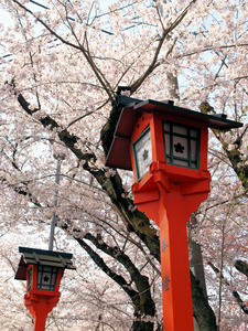 20100408_510shuusei.jpg