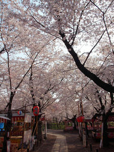 20100408_513shuusei.jpg