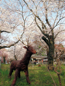 20100408_511shuusei.jpg