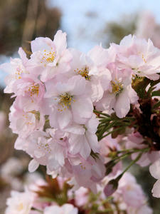 20100408_484shuusei.jpg