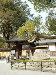 20100408_514shuusei.jpg