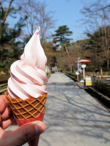 20100408_568shuusei.jpg