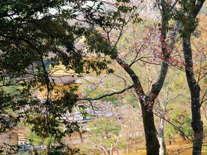 20100408_567shuusei.jpg