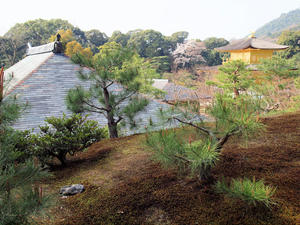 20100408_564shuusei.jpg