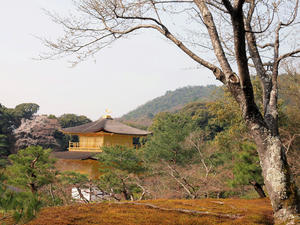 20100408_562shuusei.jpg