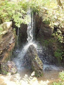 20100408_557shuusei.jpg