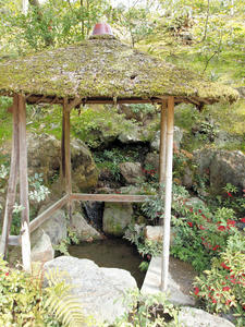 20100408_555shuusei.jpg