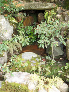 20100408_553shuusei.jpg