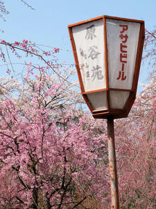 20100408_585shuusei.jpg