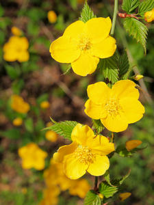 20100408_584shuusei.jpg