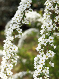 20100408_609shuusei.jpg