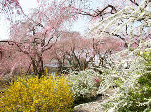 20100408_611shuusei.jpg