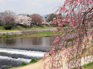 20100408_721shuusei.jpg