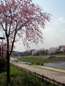 20100408_736shuusei.jpg