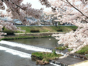20100408_746shuusei.jpg