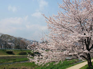 20100408_748shuusei.jpg