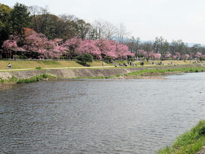20100408_839shuusei.jpg