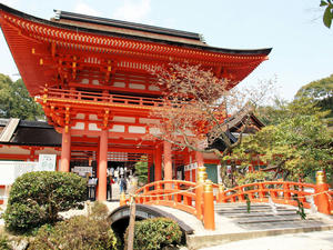 20100408_805shuusei.jpg