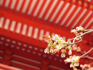 20100408_809shuusei.jpg