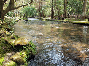 20100408_813shuusei.jpg
