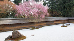 20100408_81shuusei.jpg