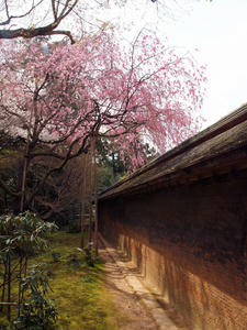 20100408_83shuusei.jpg