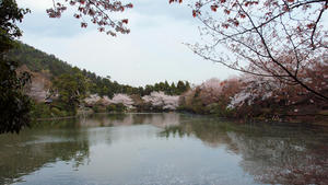 20100408_110shuusei.jpg