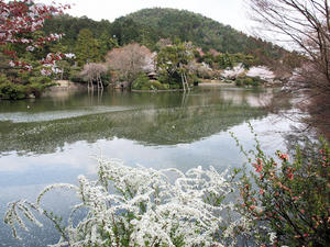 20100408_117shuusei.jpg