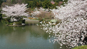 20100408_133shuusei.jpg