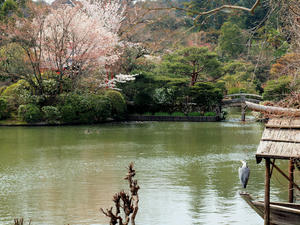 20100408_28shuusei.jpg