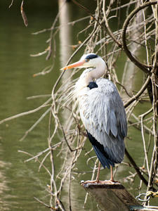 20100408_25shuusei.jpg