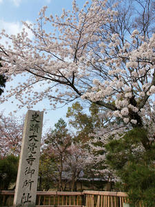 20100408_152shuusei.jpg