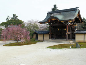 20100408_156shuusei.jpg