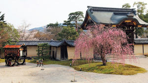 20100408_160shuusei.jpg